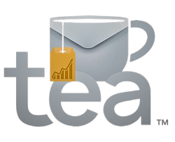 The Ecom Advisors logo